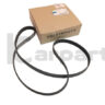 New OEM V-ribbed belt drive belt 6PK1690 1.2 TSI CBZA CBZB CBZC 03F260849A