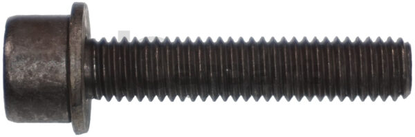 Genuine New BMW T45 Torx-Head Bolt/Screw M8x1.25x40mm Grade 11717101518 OEM