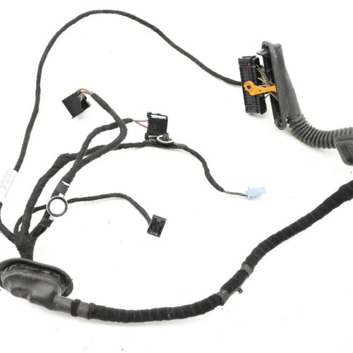 Genuine New Rear Right Door Wiring Harness Volkswagen 561971694AF VAG OEM