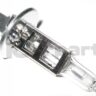 Genuine New BMW Head Light Lamp Bulb 12 Volt 55 Watt H1 7160777 63217160777 OEM