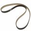 Genuine New Engine Timing Belt Audi Volkswagen 04L109119D VAG OEM